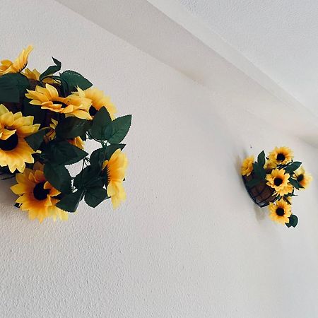 Apartamentos Ruz Córdoba Eksteriør bilde