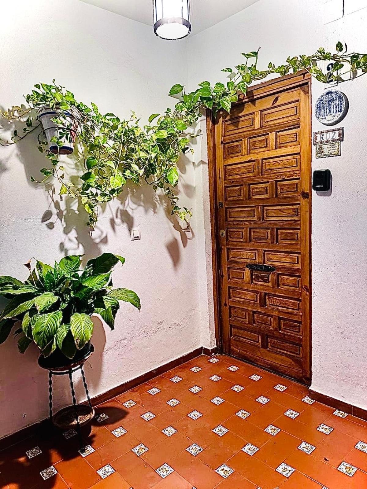 Apartamentos Ruz Córdoba Eksteriør bilde